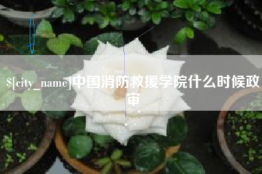 凉山中国消防救援学院什么时候政审