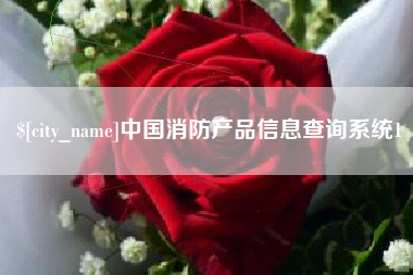 凉山中国消防产品信息查询系统1