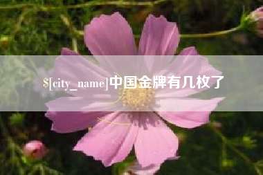 凉山中国金牌有几枚了
