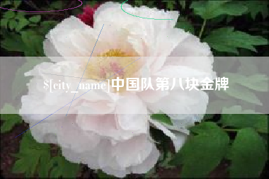 凉山中国队第八块金牌