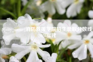 凉山消防救援学院招生录取分数线2020福建