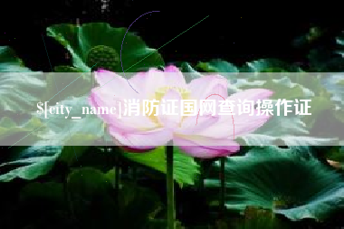 凉山消防证国网查询操作证