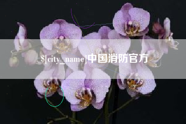 凉山中国消防官方