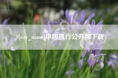 凉山中国执行公开网下载