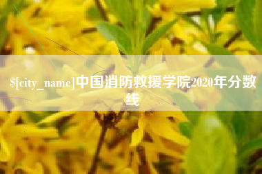 凉山中国消防救援学院2020年分数线