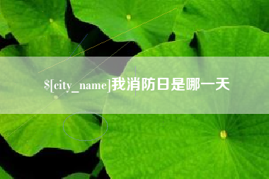 凉山我消防日是哪一天