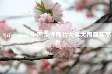 凉山中国金牌图片大全大图真实高清