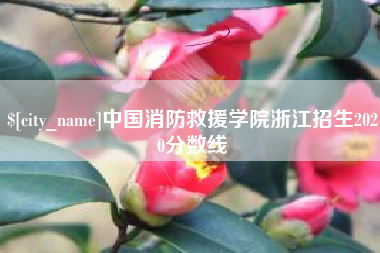 凉山中国消防救援学院浙江招生2020分数线