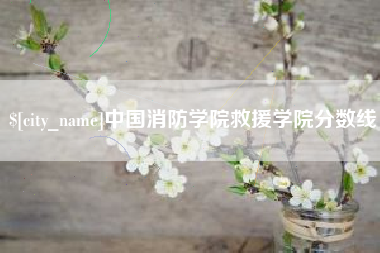 凉山中国消防学院救援学院分数线