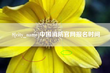 凉山中国消防官网报名时间