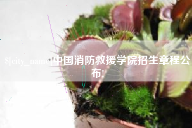 凉山中国消防救援学院招生章程公布!