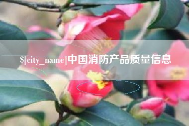 凉山中国消防产品质量信息