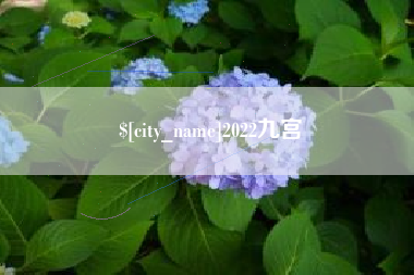 凉山2022九宫