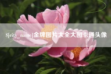 凉山金牌图片大全大图卡通头像
