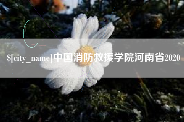 凉山中国消防救援学院河南省2020